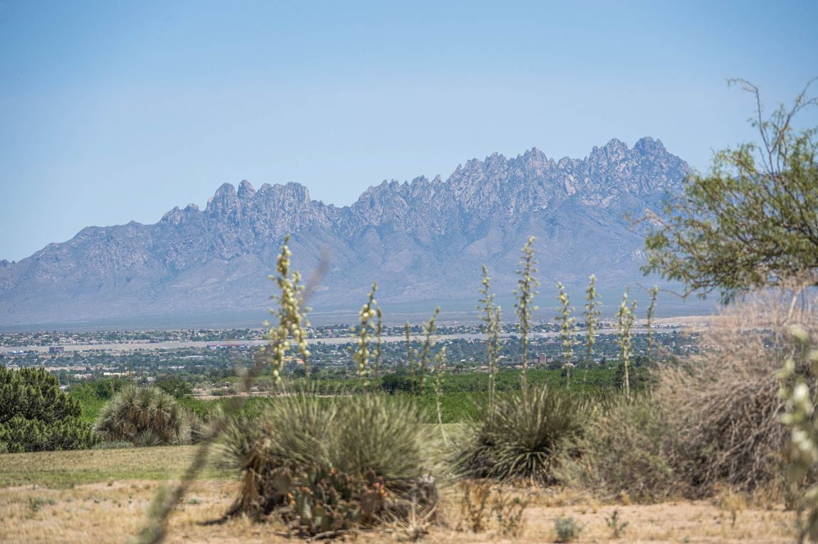 Organ Mountains view