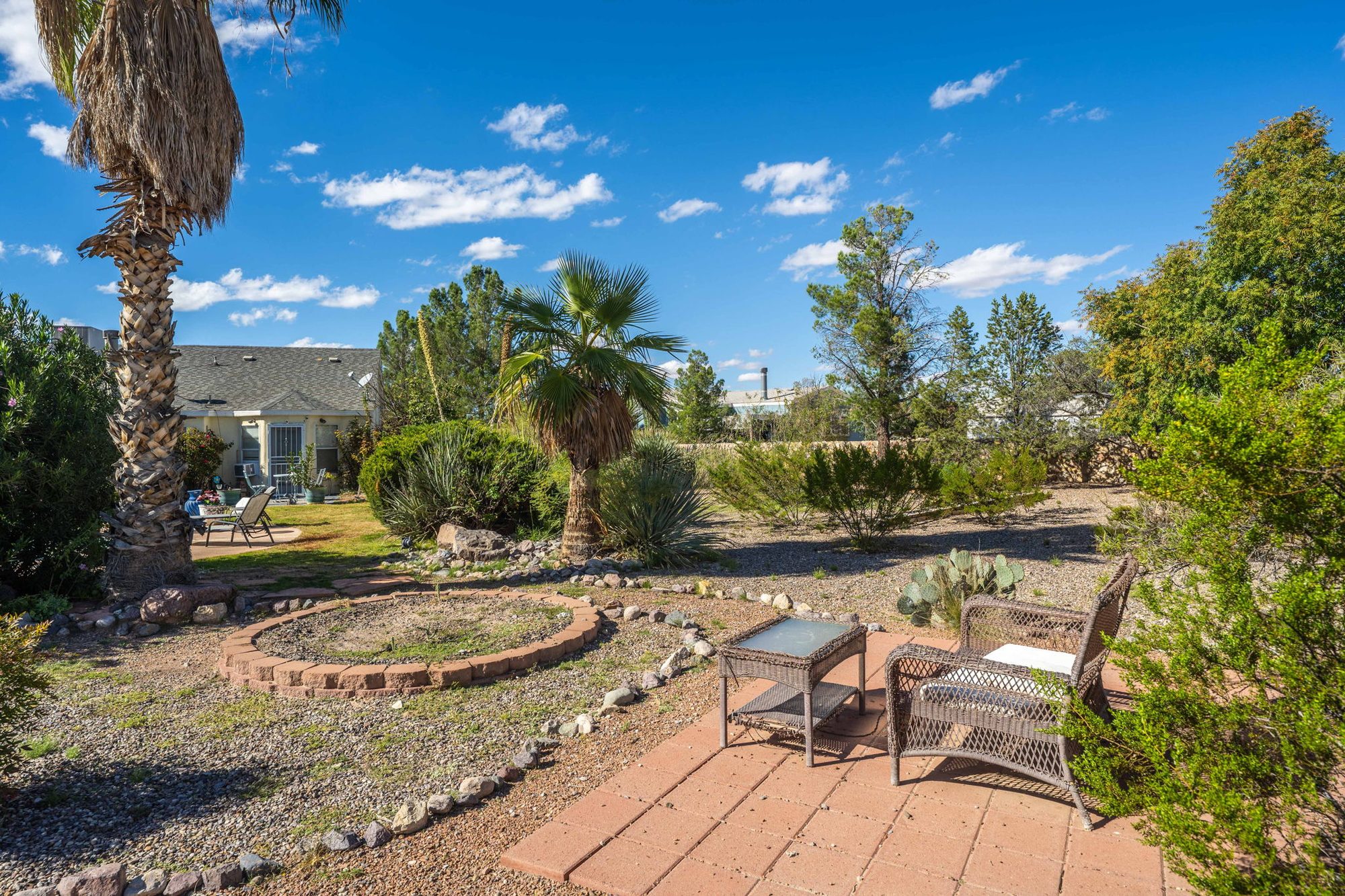 Garden patio seating among palms and desert plantings