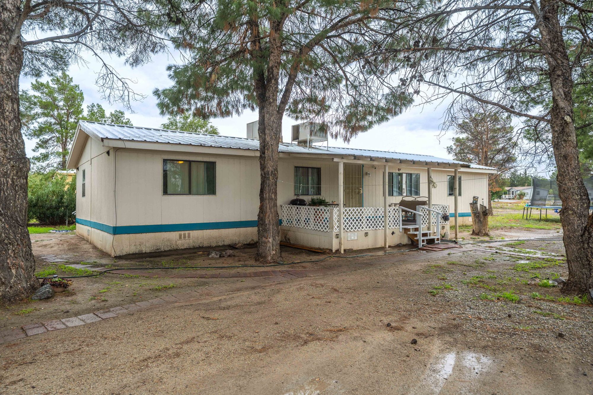 Front of the home framed by tall pines