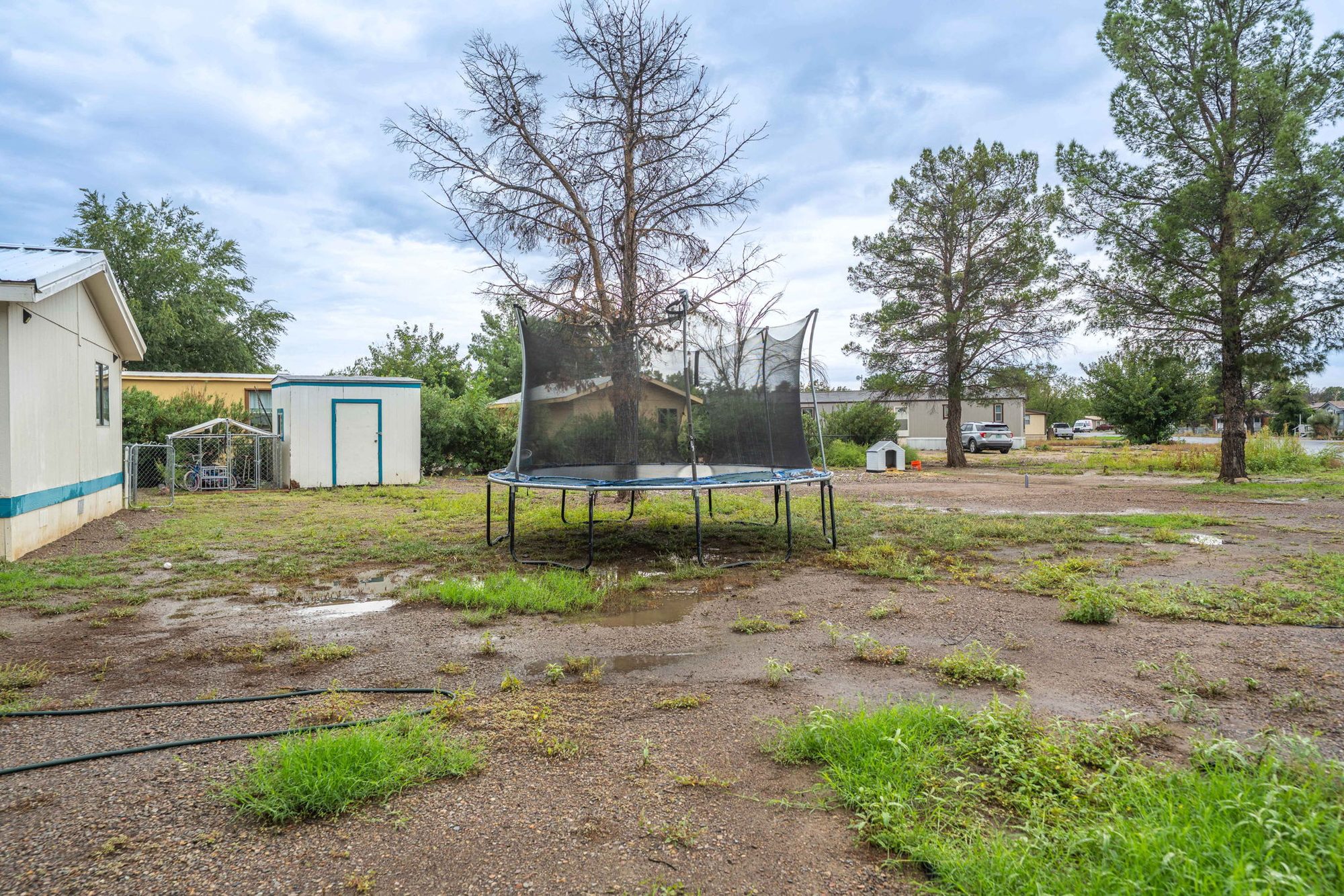 Open yard on the corner lot with storage shed
